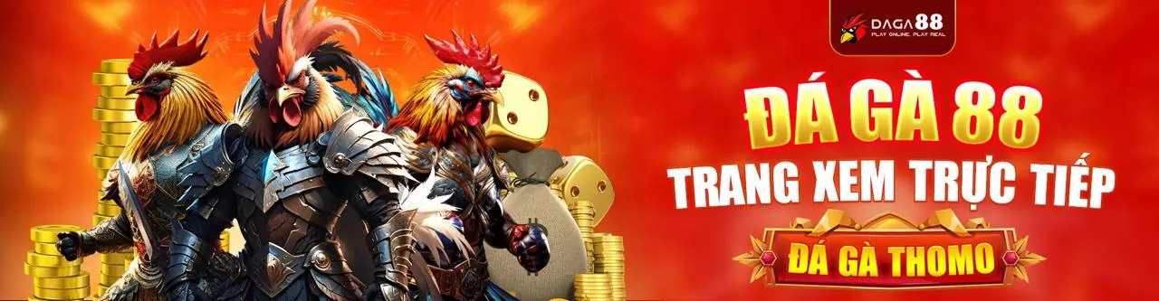 Sân đấu đá gà trực tuyến sôi động tại Ken88